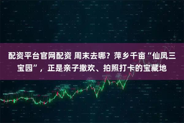 配资平台官网配资 周末去哪？萍乡千亩“仙凤三宝园”，正是亲子撒欢、拍照打卡的宝藏地