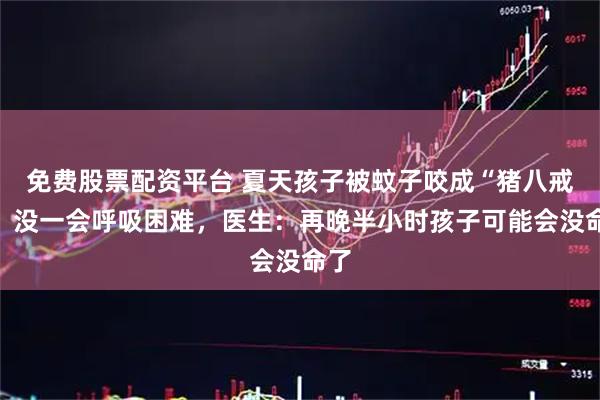 免费股票配资平台 夏天孩子被蚊子咬成“猪八戒”，没一会呼吸困难，医生：再晚半小时孩子可能会没命了